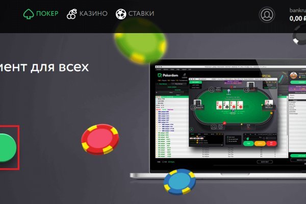 Kraken 20at