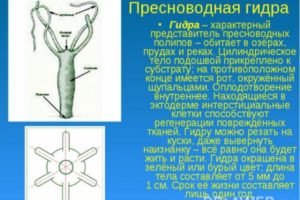 Замена hydra